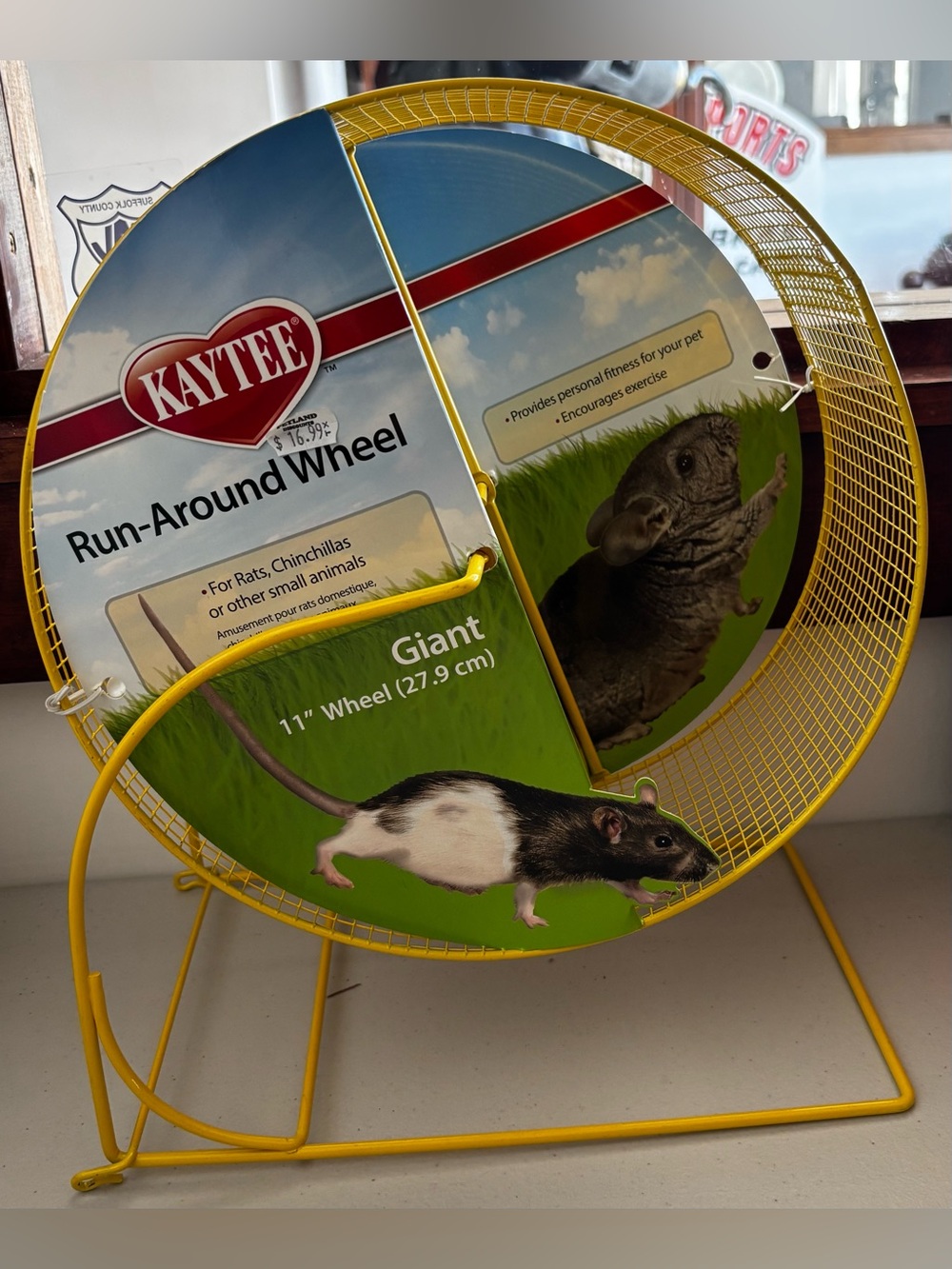 Kaytee Yellow Giant 11” Small Animal Run Around Wheel